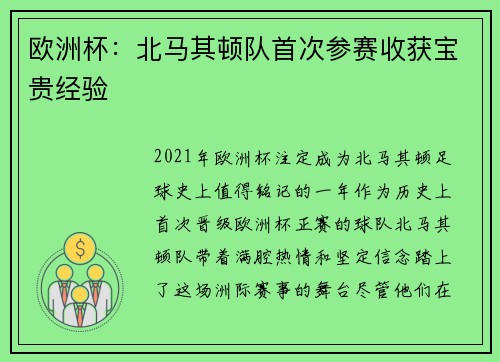 欧洲杯：北马其顿队首次参赛收获宝贵经验