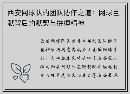 西安网球队的团队协作之道：网球巨献背后的默契与拼搏精神