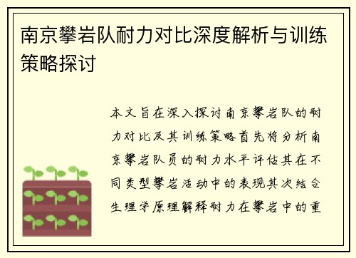 南京攀岩队耐力对比深度解析与训练策略探讨